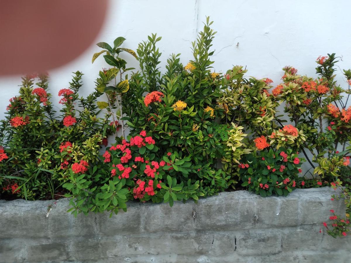 Pousada Terra De Minas Natal Exteriér fotografie